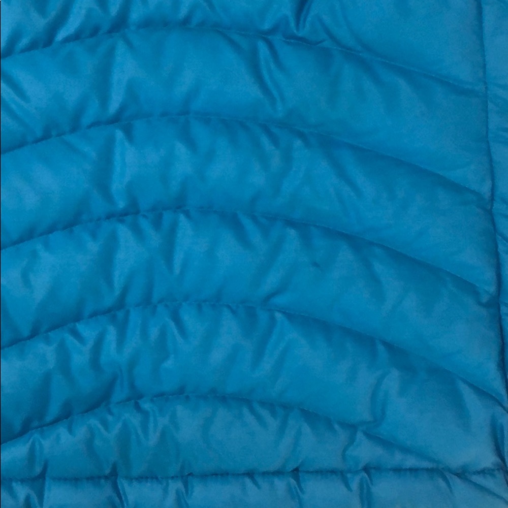 Patagonia Down Vest - Picture 4 of 5